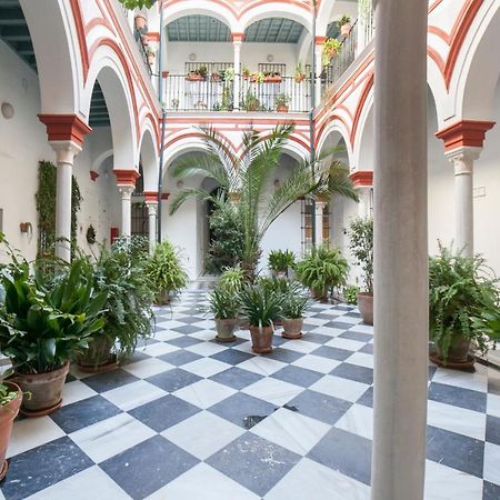 Alohamundi Alfalfa Sevilla Dış mekan fotoğraf